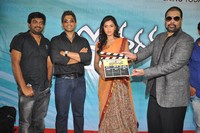 Iddarammayilatho Movie Opening Photos